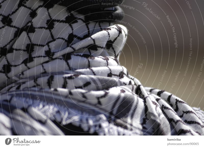 ramallah-look Arabien Arabia Headscarf Allah Islam West Jerusalem Israel Demonstration Asia West Bank Ramallah Palestinian Palestine Keffiyeh Close-up Detail