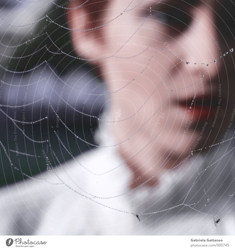 the breath Feminine 1 Human being 18 - 30 years Youth (Young adults) Adults Beautiful Net Spider's web Blouse Colour photo Exterior shot Shallow depth of field