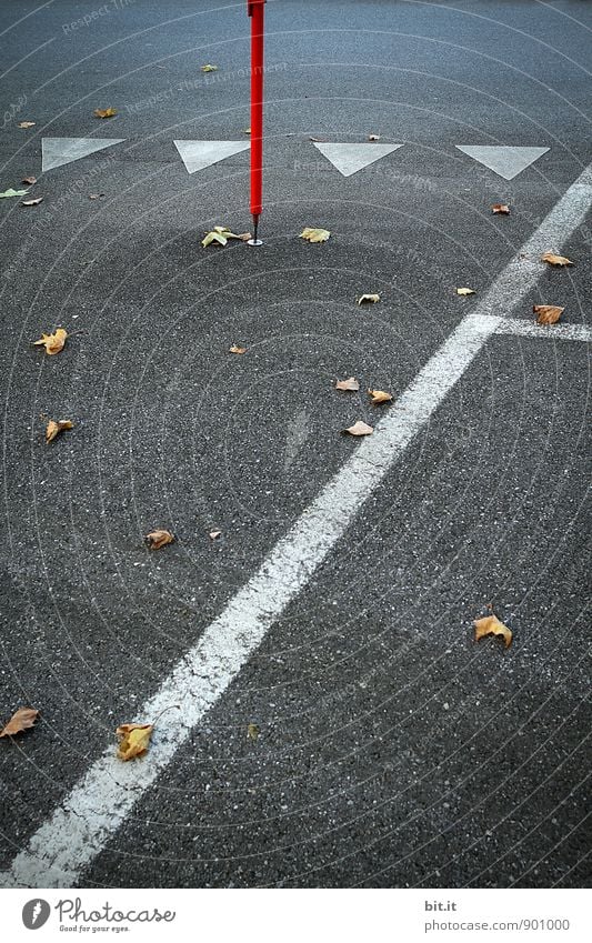 Seasonal markers... Street Lanes & trails Sign Signs and labeling Road sign Line Arrow Date Autumnal Concrete Concreted Arrangement Orderliness