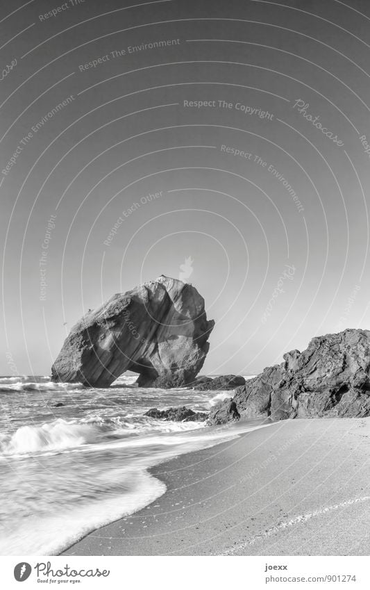 santa cruz Nature Landscape Water Cloudless sky Horizon Beautiful weather Waves Coast Beach Rock Large Black White Bizarre curt Black & white photo