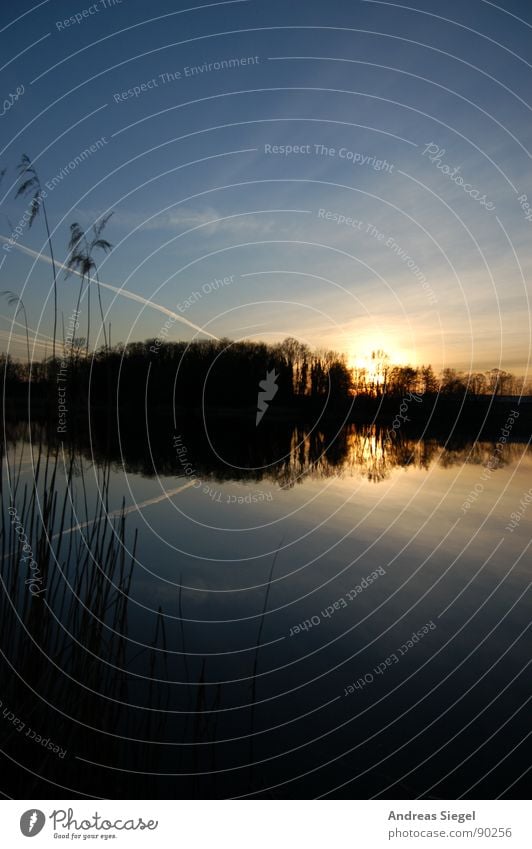 Sun goes swimming Clouds Sunset Lake Forest Row of trees Moody Romance Beautiful Cold Vapor trail Dark Reflection Common Reed Black Overflight