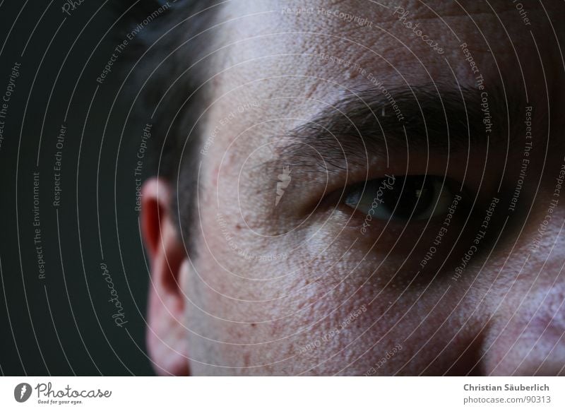 ME, MYSELF & EYE II Eyebrow Nostril Nasal bone Portrait photograph Forehead Man Eyes Nose Ear Hair and hairstyles Skin me oneself Wrinkles