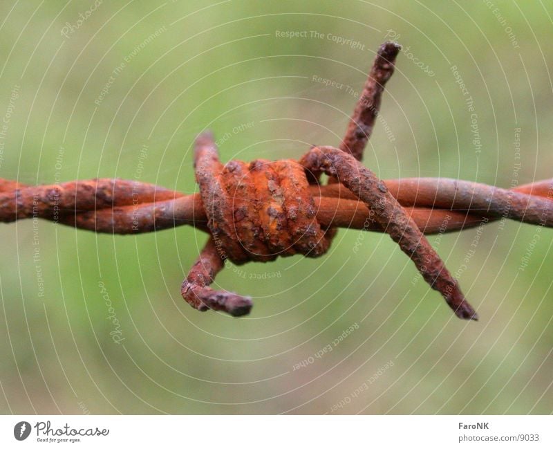 barbed wire Wire Fence Things Rust