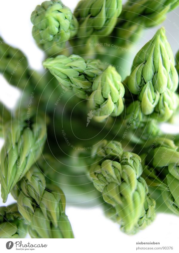 Green asparagus Holiday season Cooking Kitchen Fresh Guest Healthy To enjoy Nutrition Delicious Farmer's market Field Asperagus harvest Vitamin Lunch Food