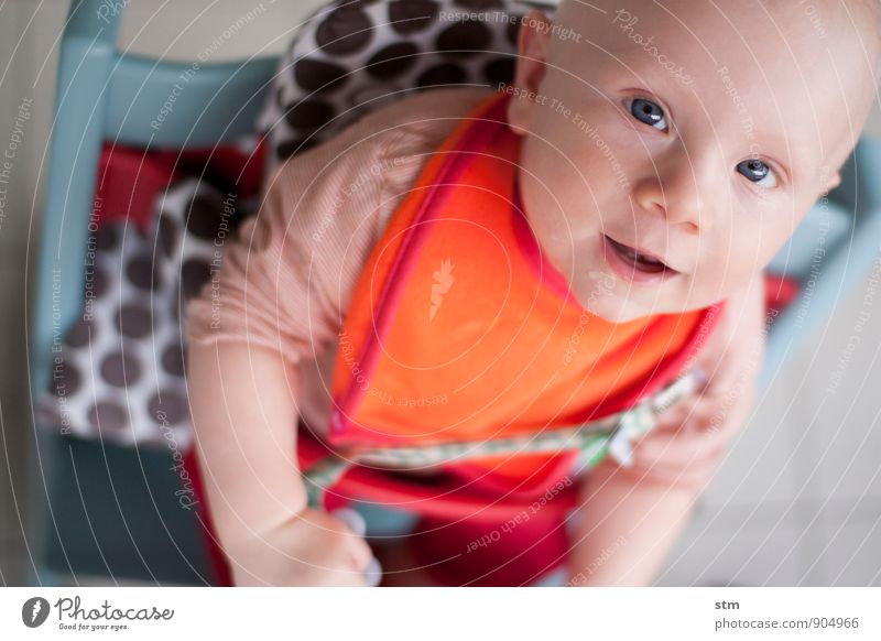 Baby on baby chair with bib Child Family & Relations Infancy Life 1 Human being 0 - 12 months T-shirt Bib Bald or shaved head Emotions Contentment