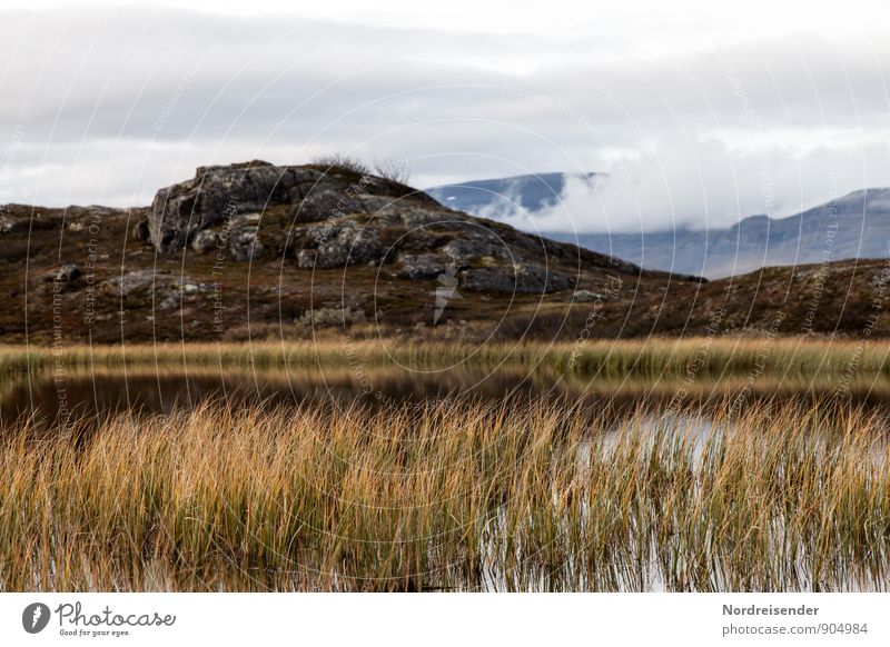 mountain lake Trip Far-off places Mountain Hiking Nature Landscape Plant Elements Air Water Sky Clouds Climate Hill Rock Bog Marsh Lake Relaxation Natural