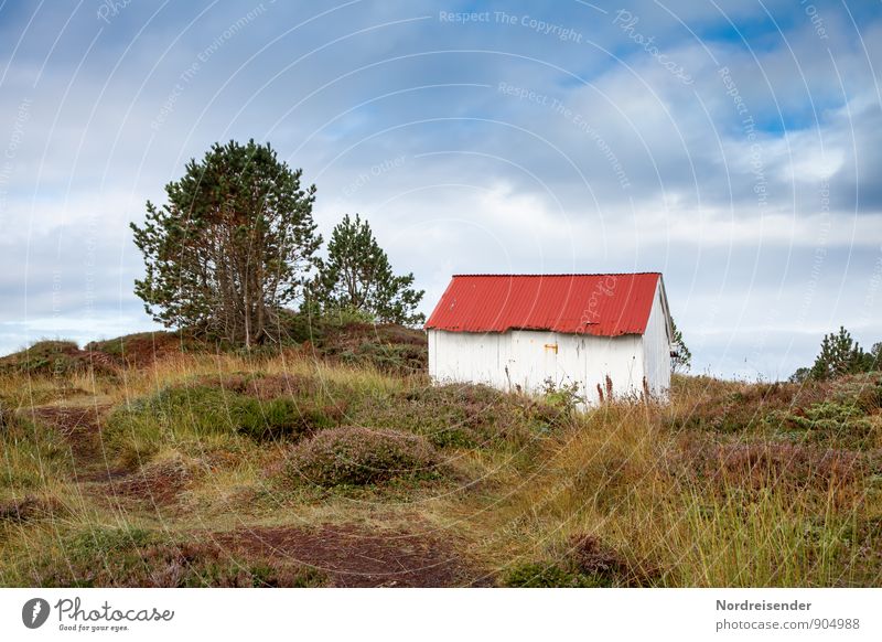 heath landscape Harmonious Senses Calm Vacation & Travel Hiking Nature Landscape Summer Tree Meadow Coast Bog Marsh Hut Manmade structures Building Architecture