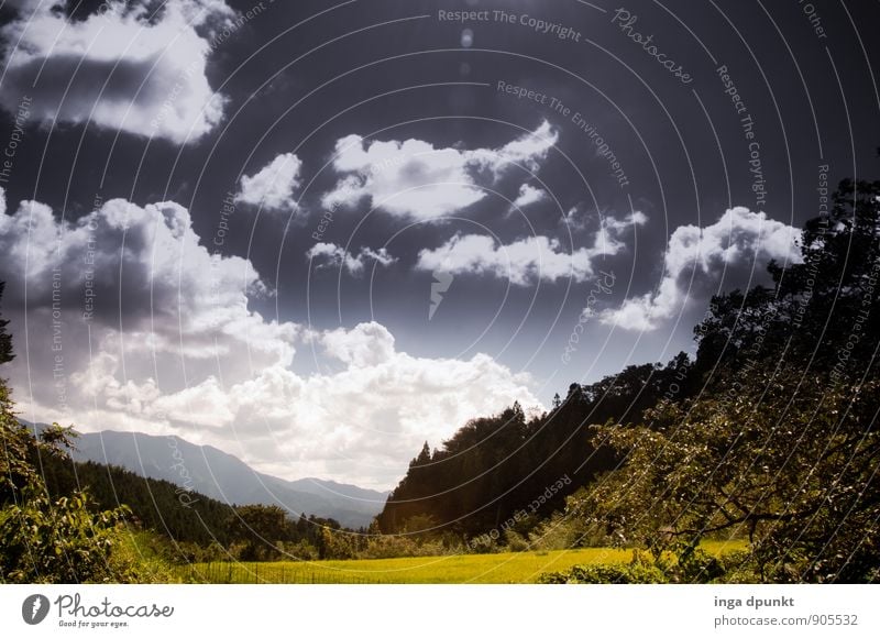 Field, forest and clouds Environment Nature Landscape Sky Clouds Summer Beautiful weather Plant Tree Forest Japan Kansai Honshu Tourism Agriculture Seasons