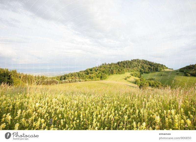 Kaiserstuhl light Vacation & Travel Tourism Trip Far-off places Mountain Hiking Nature Landscape Plant Sky Clouds Spring Summer Climate Weather Flower Grass