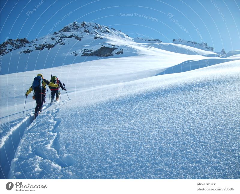 way to the gran paradiso Ski tour Moody Mountaineering Gran Paradiso Peak White Winter Winter mood Snow crystal Sports Playing