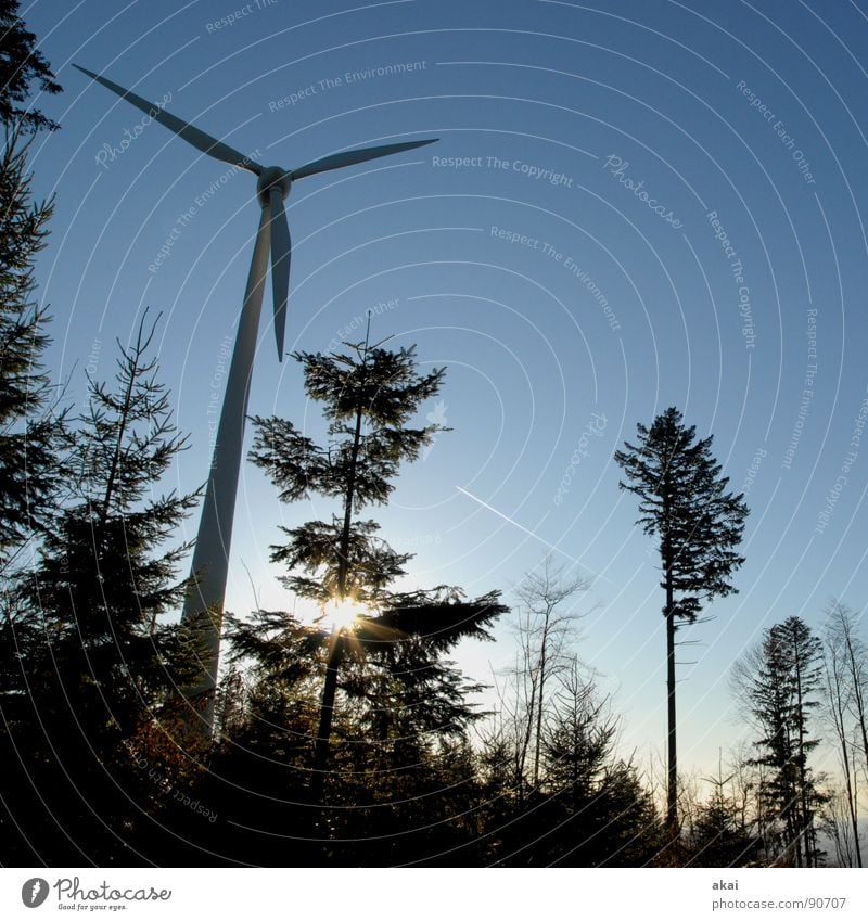 Wind power at Roßkopf 3 Sky Coniferous trees Forest Sky blue Geometry Deciduous tree Perspective Coniferous forest Glade Paradise Clearing Wind energy plant