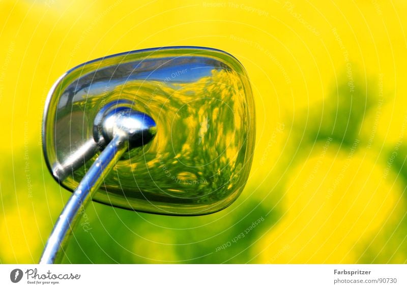 outside world Mirror Chrome Yellow Canola Field Spring March Beetle Reflection Mirror Exterior mirror