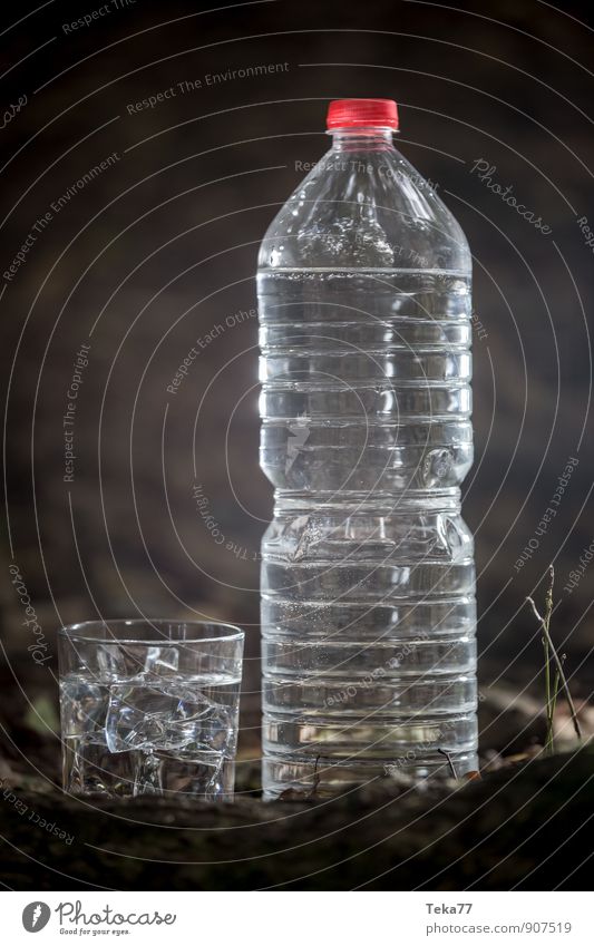 Drinking water #3 Beverage Life Summer Nature Water Jump Cool (slang) Pure Colour photo Exterior shot Deserted