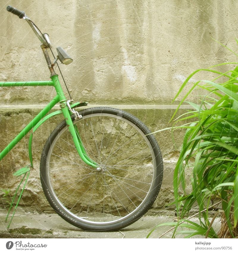 parking space II Bicycle Vintage car Wheel Rubber Pillar Wall (barrier) Rear light Backyard Fender Wheel rim Spokes Chrome Green Grass Hose Coat Lamp Derelict