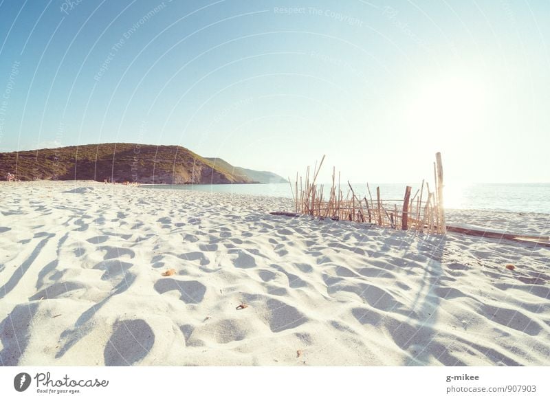 beach Landscape Sand Water Summer Beautiful weather Beach Discover Relaxation Dream Warmth Vacation & Travel Corsica Travel photography Mediterranean sea