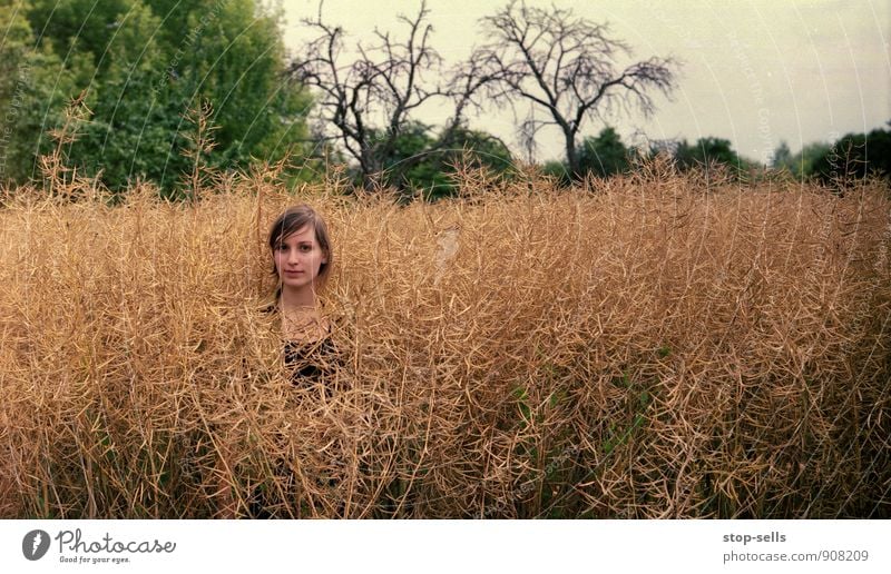 giraffe Human being Feminine Head Face Observe Attentive Watchfulness Serene Patient Calm Endurance Unwavering Field Canola field Isolated (Position) Individual