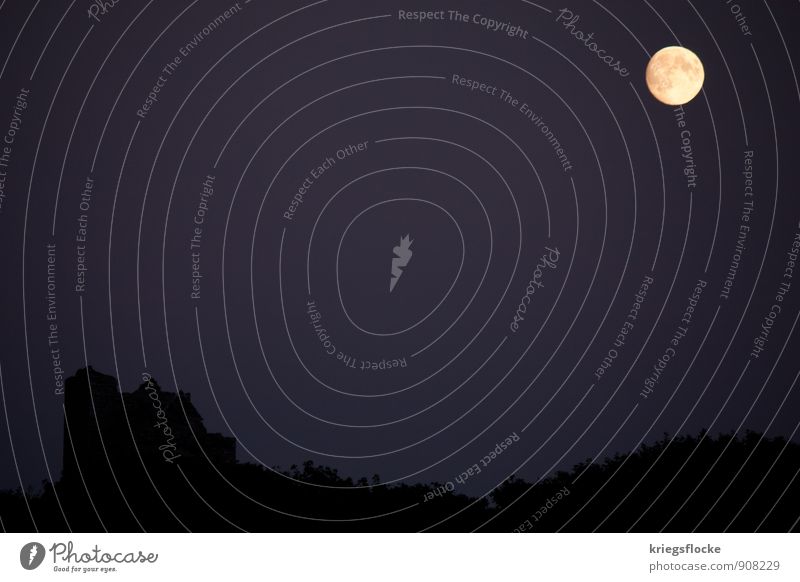 Halloween - fun in the dark Landscape Moon Full  moon Moody Romance Fear Ruin Dark Hallowe'en Mystic Fairy tale Calm Silhouette Colour photo Exterior shot