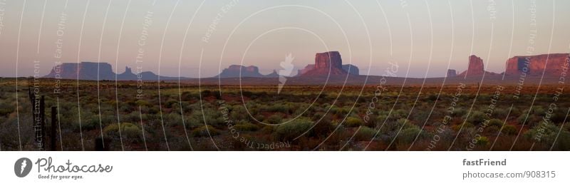 The beautiful West Nature Landscape Plant Earth Summer Beautiful weather Foliage plant Desert Esthetic Hot Cowardice Mountain Monument Valley Badlands Flower