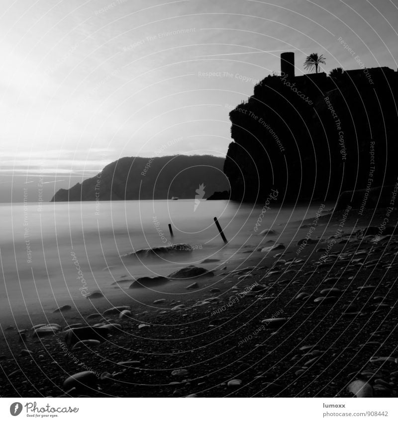 castello Nature Water Sunrise Sunset Summer Palm tree Coast Beach Silver Rock Vernazza Cinque Terre Italy Black & white photo Twilight Silhouette Long exposure