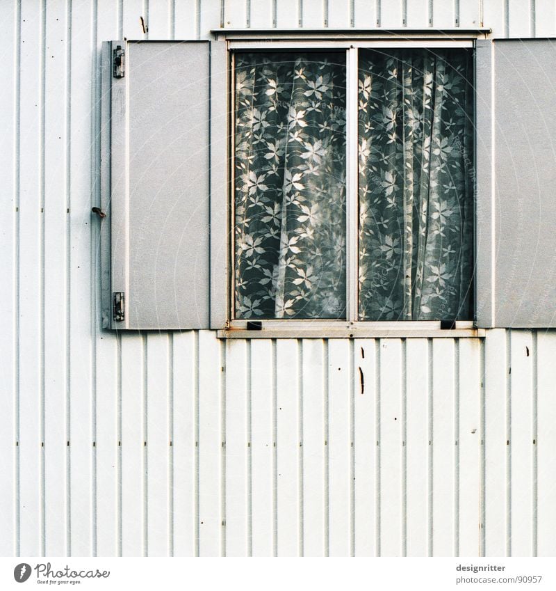 Flowery Site trailer Window Gray Shutter Curtain Tin Gloomy Rust Detail contractor's shed grey flowers plate blank sheet rusty monosonic monotonous