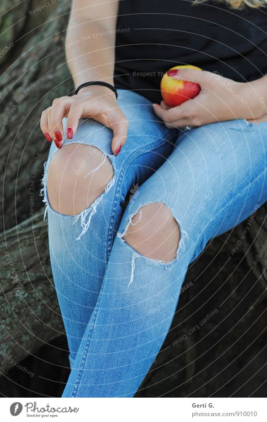 young woman with apple in her hand and jeans in used look with holes in her knees Style Healthy Eating Feminine Youth (Young adults) Body 1 Human being