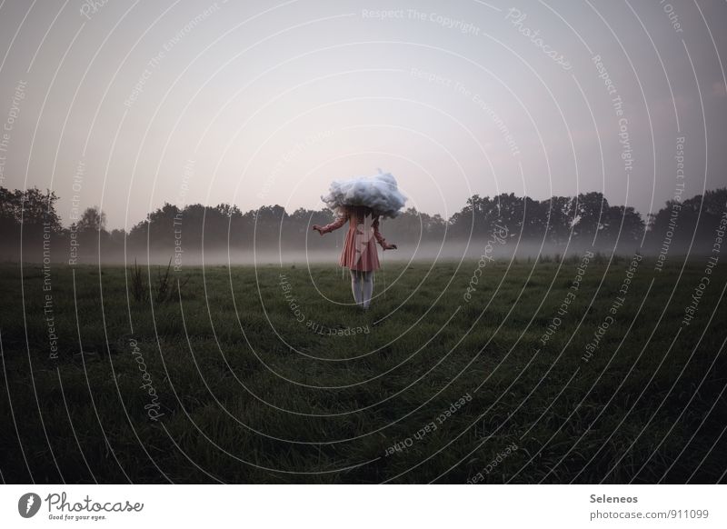 early morning mist Human being Feminine Woman Adults 1 Rockabilly Environment Nature Cloudless sky Clouds Horizon Autumn Climate Climate change Fog Meadow Field