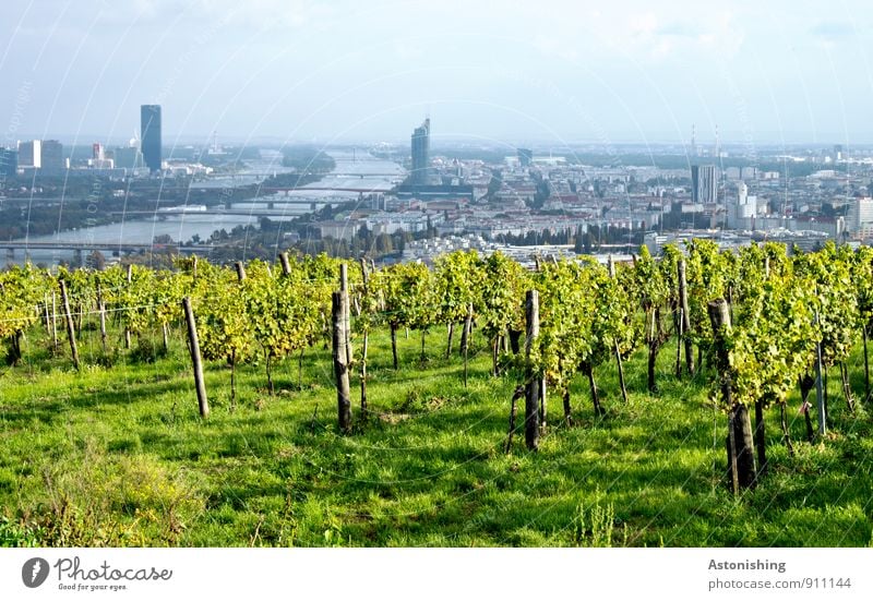 View of Vienna Environment Nature Landscape Plant Air Sky Clouds Autumn Weather Beautiful weather Grass Bushes Leaf Agricultural crop Hill River bank Danube