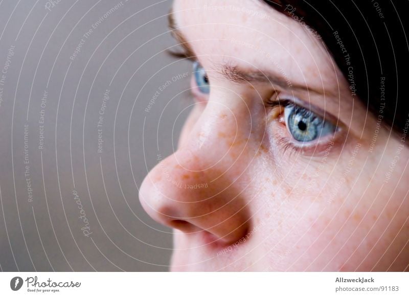 OMG (Oh My Goodness) Woman Amazed Spellbound Silent Feminine Freckles Looking Motionless Frightening Scare Fear Panic Dangerous Shock Eyes Face Head Nose