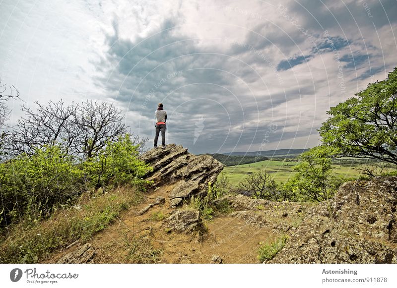 lookout Human being Feminine Young woman Youth (Young adults) Body Back Legs 1 18 - 30 years Adults Environment Nature Landscape Plant Air Sky Clouds Horizon