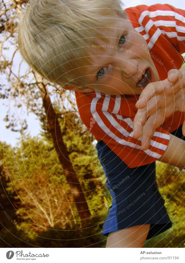 OAAAHHHRR! Boy (child) Child Blonde Grimace Facial expression Emotions Gesture Claw Tooth space Hand Fingers Fist Scare Anger Evil T-shirt Red Forest