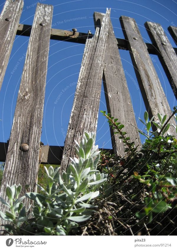 At the Fence of Time Wood Border Meadow Real estate Garden Park Wooden board Metal Varnish