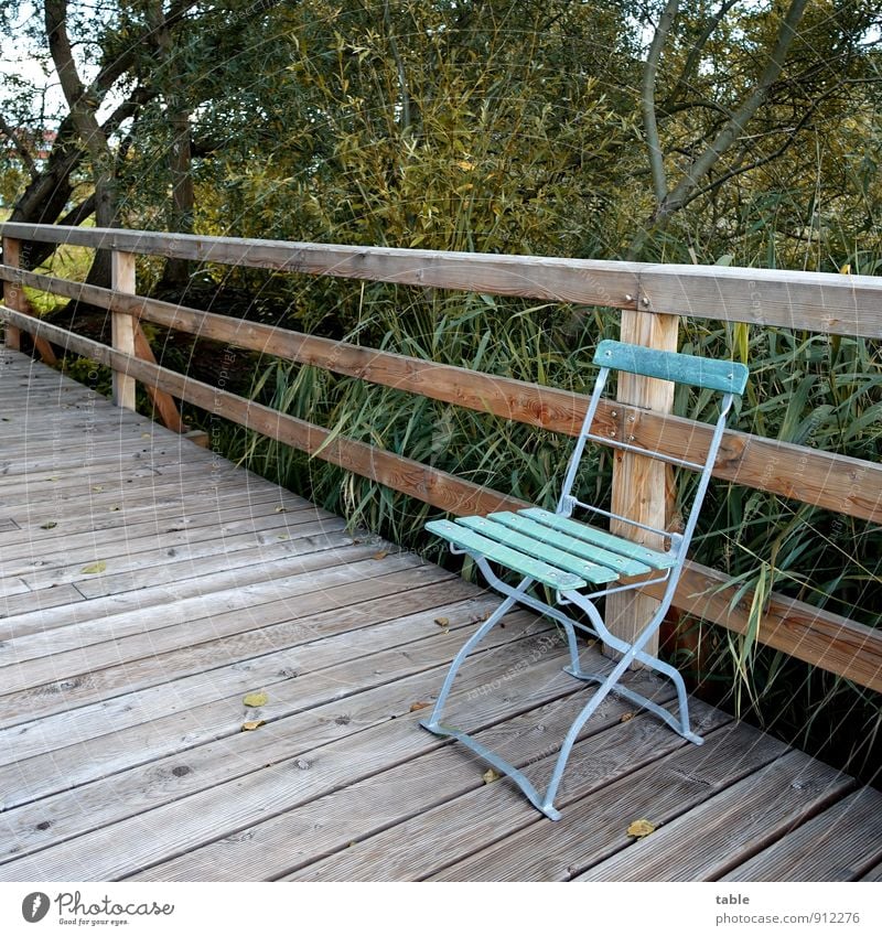 Chair on bridge to water Vacation & Travel Trip Environment Nature Landscape Plant Spring Summer Autumn Beautiful weather Tree Bushes Lakeside Common Reed