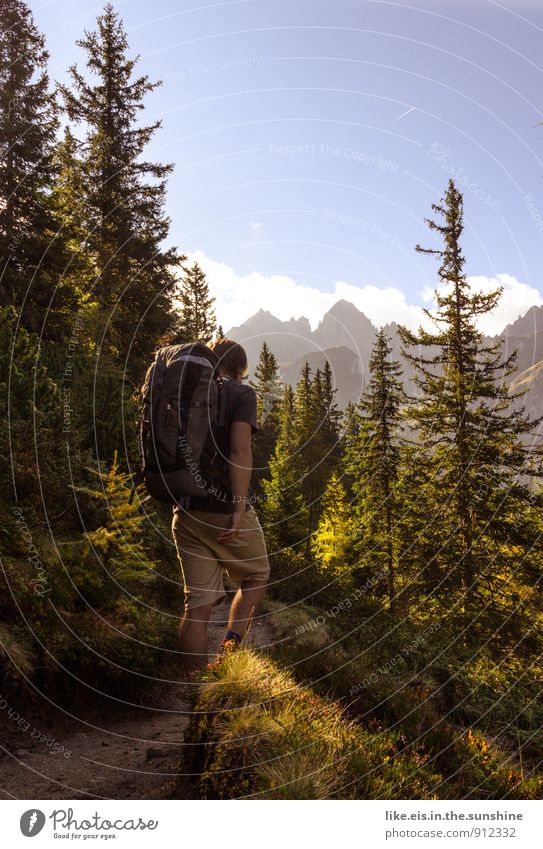 Autumn-Sunday Young man Youth (Young adults) Athletic Hiking Exterior shot Mountain Forest Colour photo