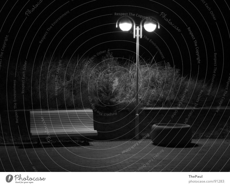 Shining Stars Lantern Street lighting Bushes Night Dark Grief Loneliness Contentment Long exposure Exterior shot Black & white photo Garden Park Bench Sadness