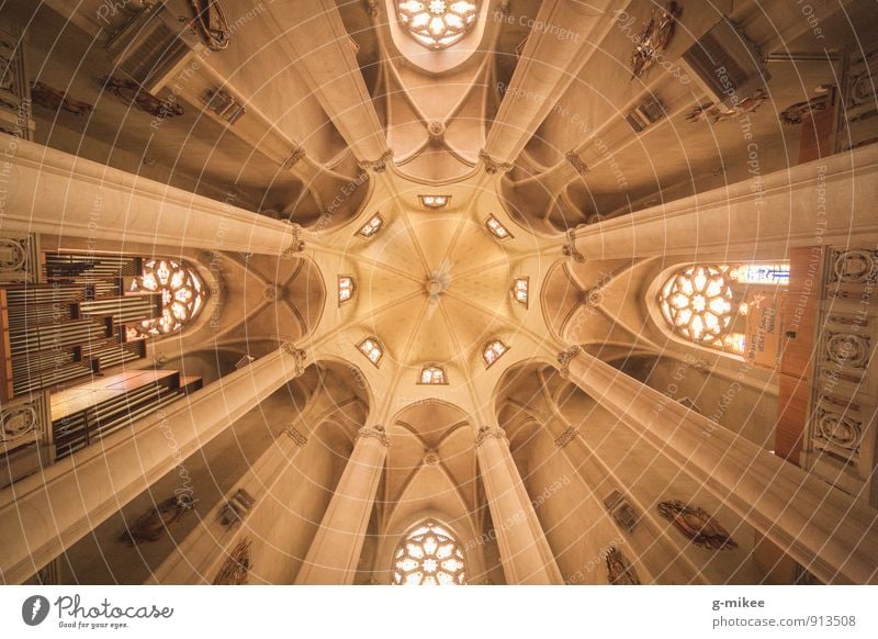 symmetry Church Manmade structures Building Roof Esthetic Large Historic Tall Yellow Symmetry Ceiling Vault Colour photo Interior shot Deserted Day