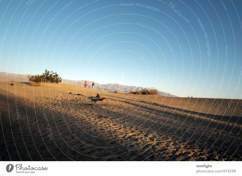 sand Environment Nature Landscape Plant Cloudless sky Desert Death valley Nationalpark Environmental protection Dust Dune Desert plant Warmth Hot Colour photo