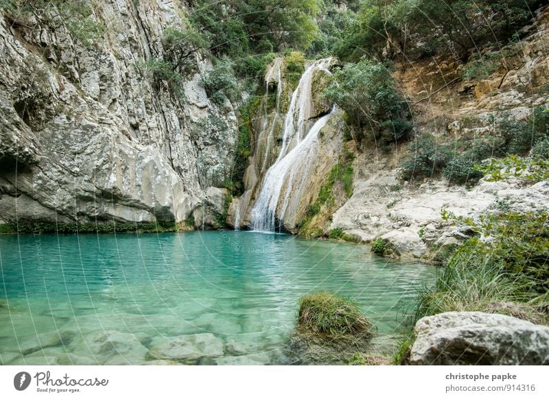 falling water Environment Nature Landscape Water Summer Beautiful weather Plant Bushes Rock Waterfall Discover Relaxation Hiking Exotic Pure Vacation & Travel