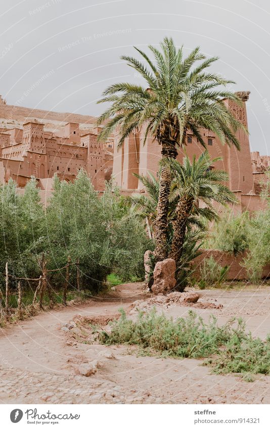 Around the World: Ait-Ben-Haddou around the world Vacation & Travel Travel photography Tourism Landscape Town Skyline steffne