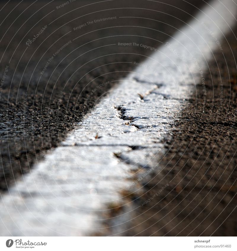 By the wayside Edge Tar Transport Tracks Road construction Far-off places Macro (Extreme close-up) Blur Line Border Roadside Wayside Grainy Broken Weathered