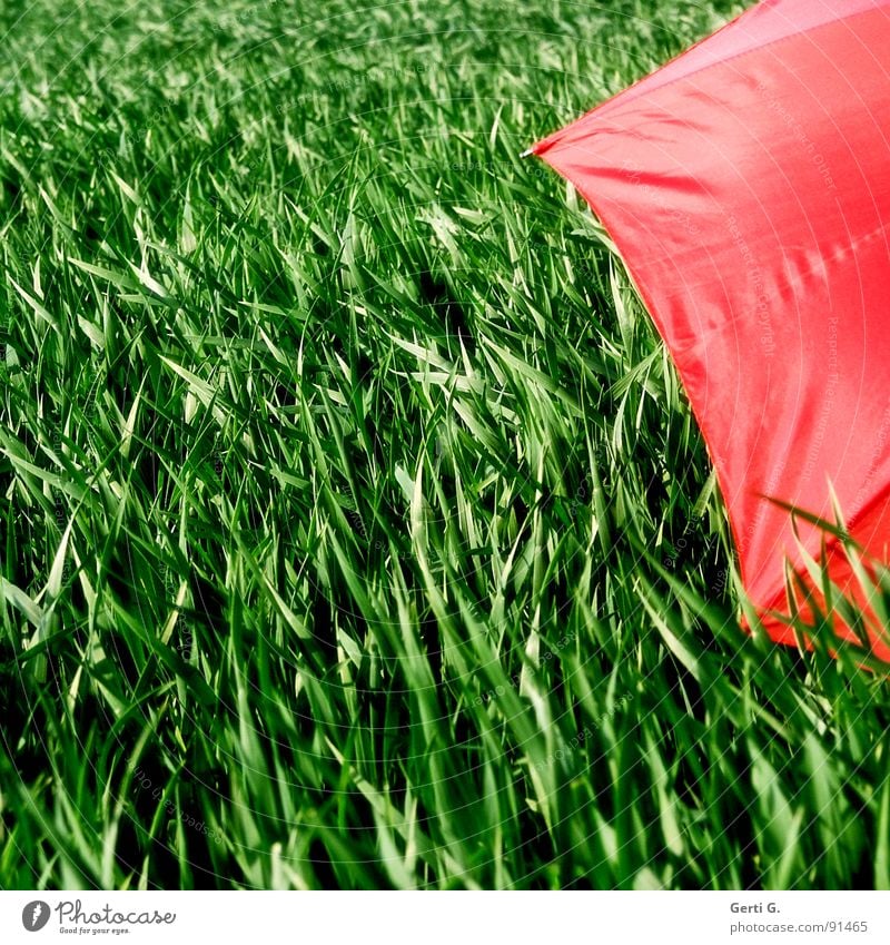 practical, square, shielded Charming Sunshade Protective equipment Umbrella Red Summer Field Cornfield Fresh Multicoloured Greeny-red Agriculture Wind