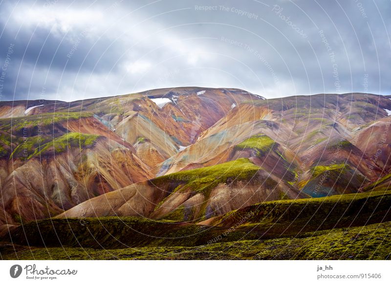 Iceland I Nature Landscape Plant Elements Storm clouds Moss Mountain Volcano Infinity Calm Adventure Relaxation Freedom Reykjavík Volcanic island Mountaineering