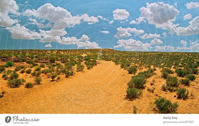 On the way to the horseshoe... Arizona Clouds Bushes Horseshoe Bend South West Summer USA Desert Lanes & trails Orange Sky Blue perfect photo weather Sand