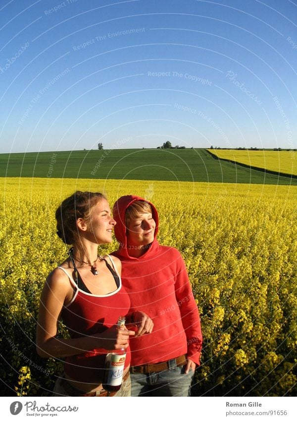 watching the sun Field Yellow Canola Contentment Exterior shot Sunset Spring Joy Sky Clarity Blue Plant Calm maize jump Freedom Nature Observe To enjoy