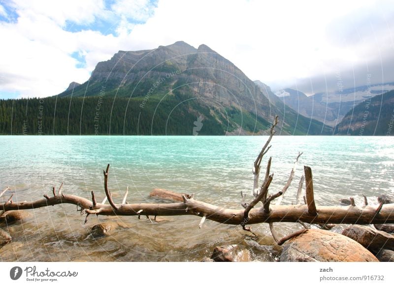 wanderlust blues Tourism Far-off places Landscape Water Sky Clouds Sunlight Summer Beautiful weather Plant Tree Coniferous trees Forest Rock Mountain