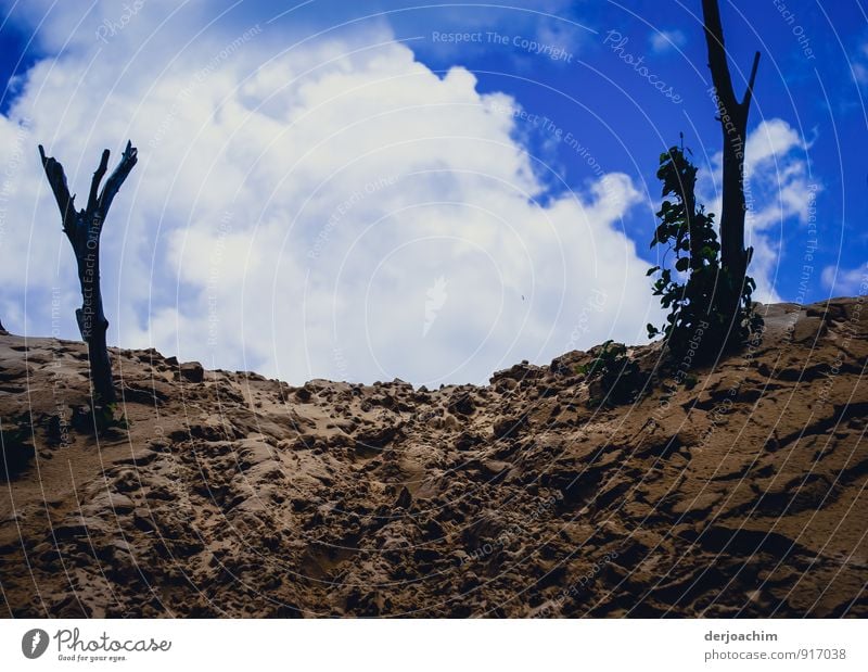 Dune path, dune path to the beach. Blue sky with white clouds. rainbow beach. Queensland / Australia Joy Relaxation Leisure and hobbies Vacation & Travel