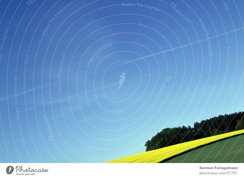 raps_mai_2 Field Canola Spring May Horizon Physics Far-off places Large Meadow Plant Agriculture Green Yellow Sky Blue Crazy Warmth Calm Americas Landscape