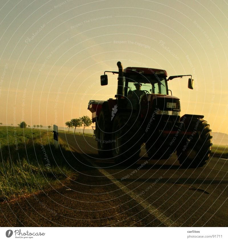 In March the farmer ... Avenue Country road Federal highway Morning Morning fog Sunrise Back-light Dazzle Tree Silhouette Hill Gradation Tractor Farmer