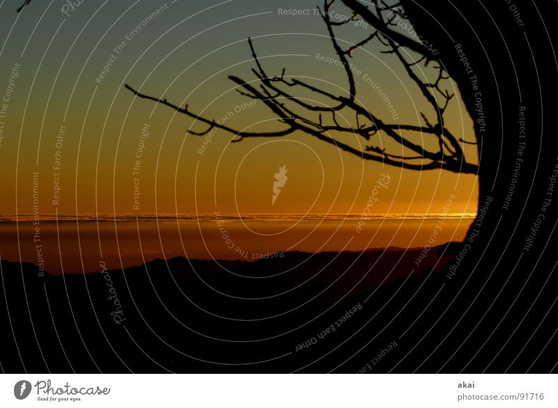 Sunset at Schauinsland Homey Evening Bronze Emotions Puppy love Orange Südbaden Amber coloured Contrast Planet Sunbathing Panorama (View) Beautiful Mountain