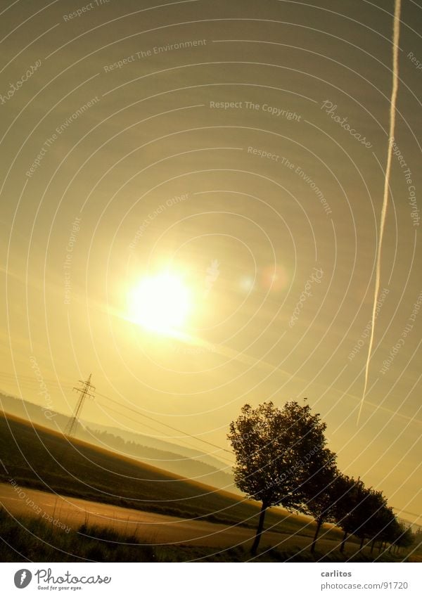 She's tipping over! Avenue Country road Morning Morning fog Sunrise Back-light Dazzle Tree Silhouette Hill Gradation Commute Electricity pylon Solar Power Dawn