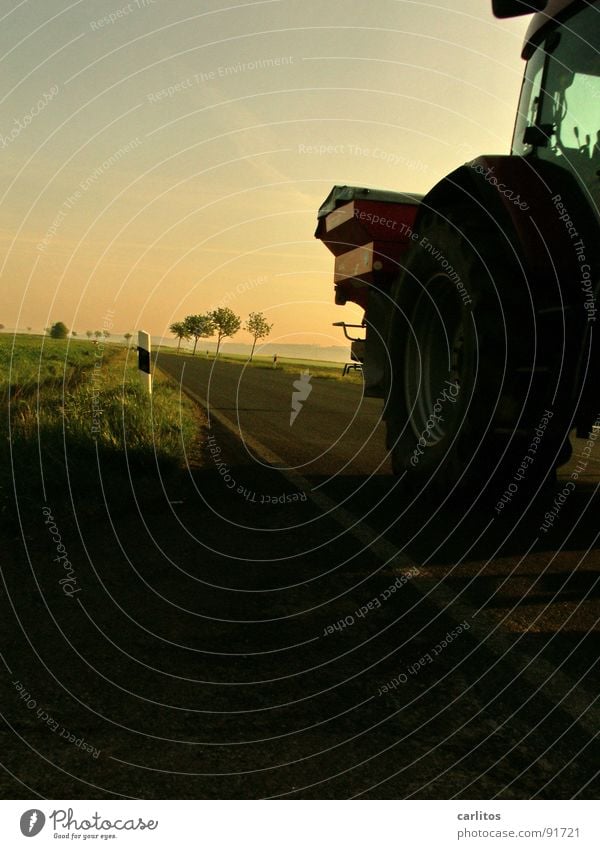 Farmer power! Avenue Country road Federal highway Morning Morning fog Sunrise Back-light Dazzle Tree Silhouette Hill Gradation Tractor Agriculture Commute Dawn